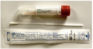 Mini-Tip Flocked Swab with UTM (mini-flock-swab.jpg)