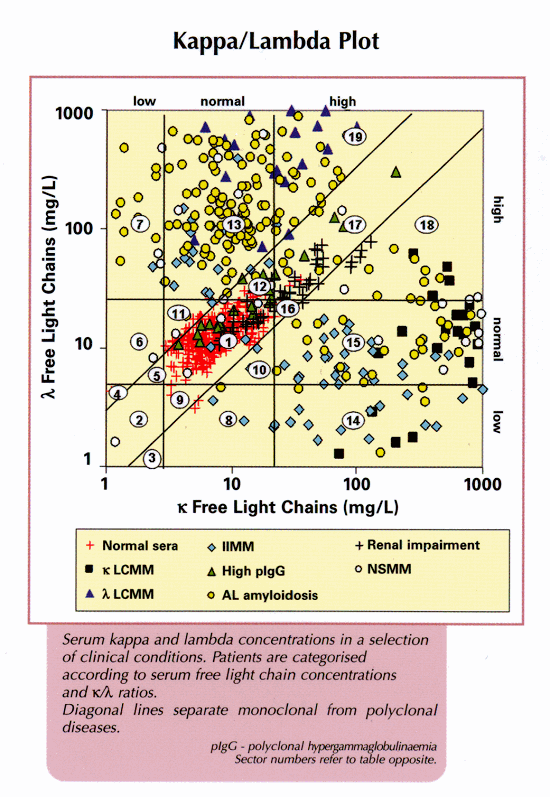 FREE LIGHT CHAINS (SERUM) | LABCORP INC.