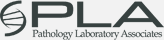 Pathology Laboratory Associates Logo